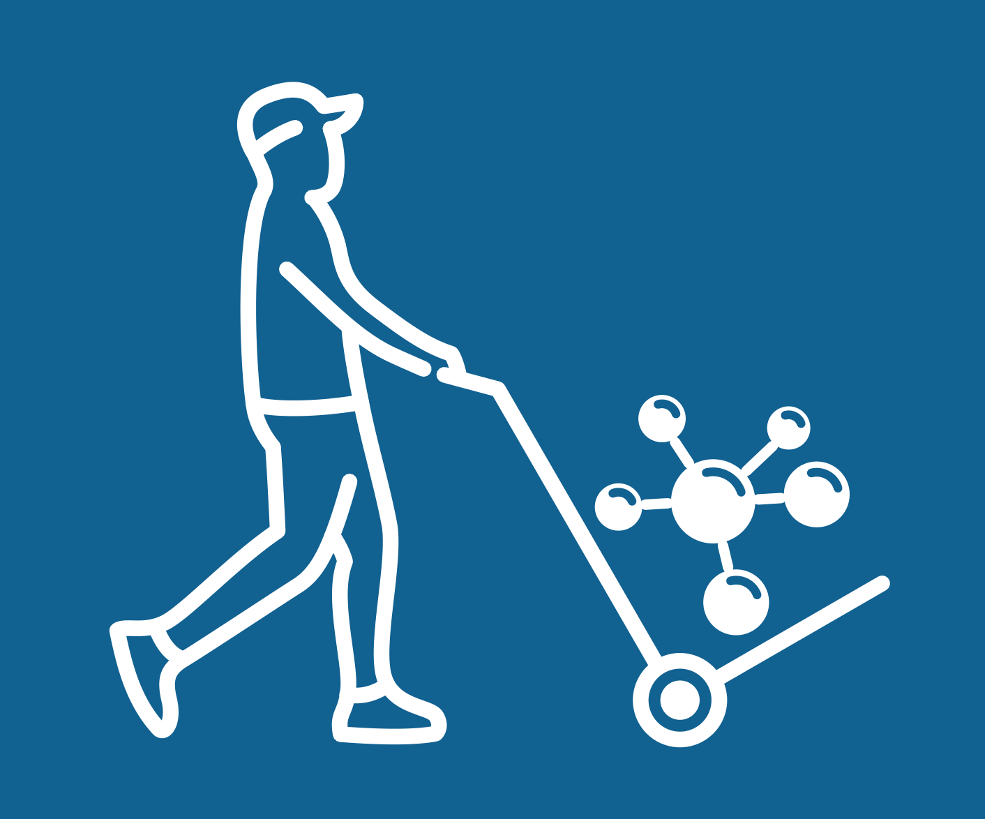 Data Steward
