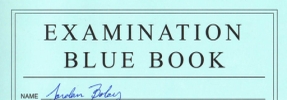 Bild examination blue book