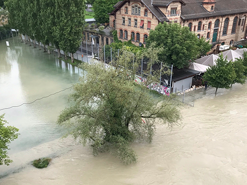Hochwasser in der Matte in Bern